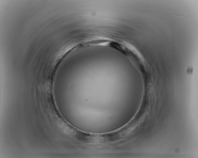 X0000092070785200709191202