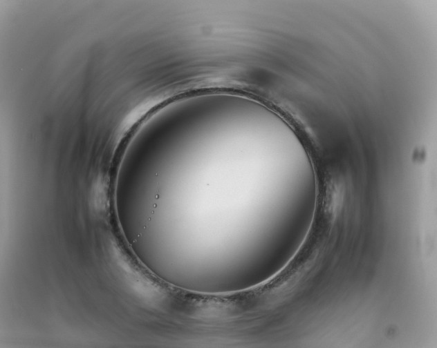 X0000092070786200709191202