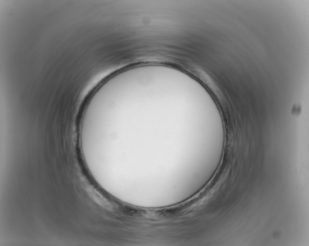 X0000092070787200709191202