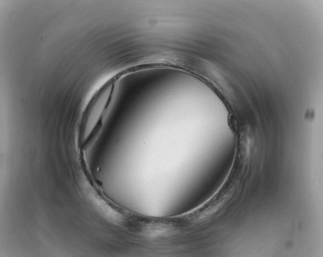 X0000092070788200709191202
