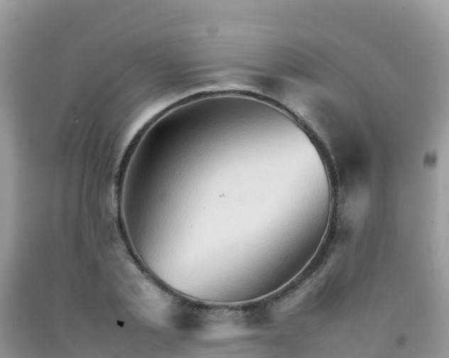 X0000092070789200709191202