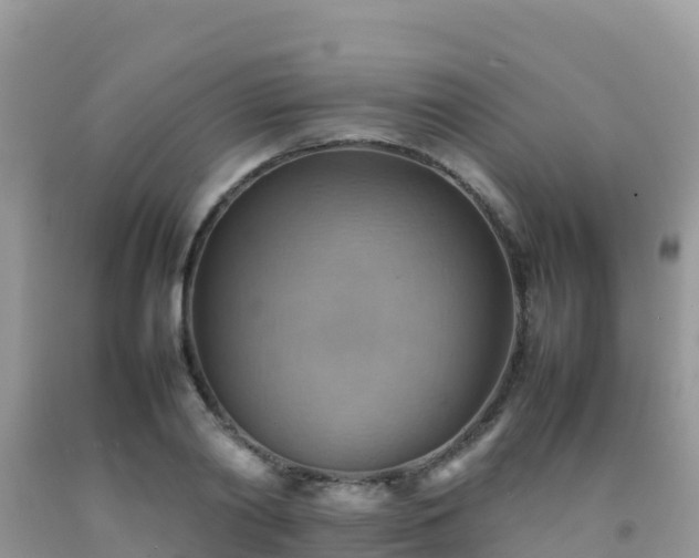 X0000092070790200709191202