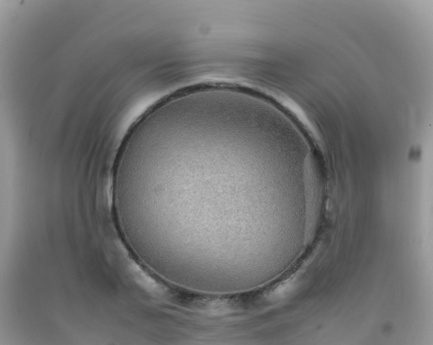X0000092070791200709191202