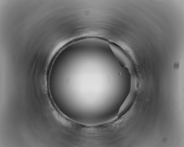X0000092070792200709191202