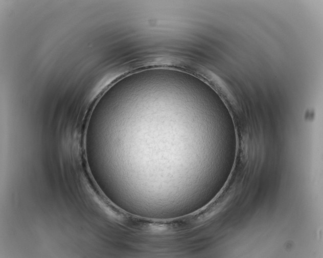 X0000092070794200709191202