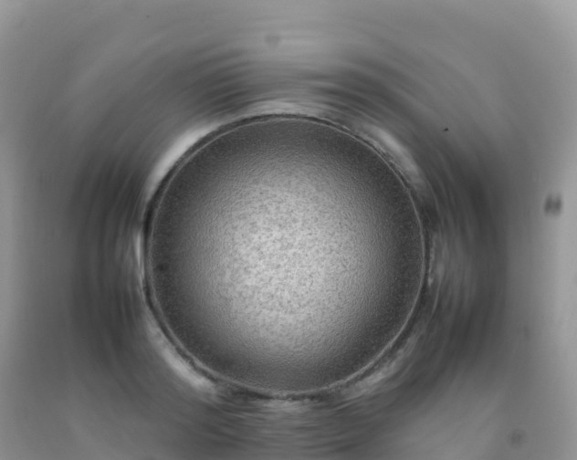 X0000092070796200709191202