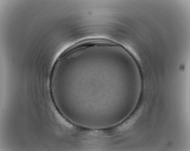 X0000092070797200709191202