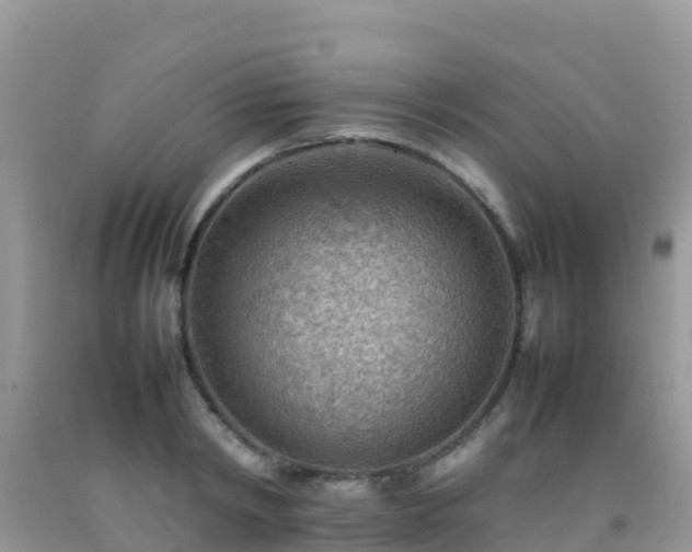 X0000092070798200709191202