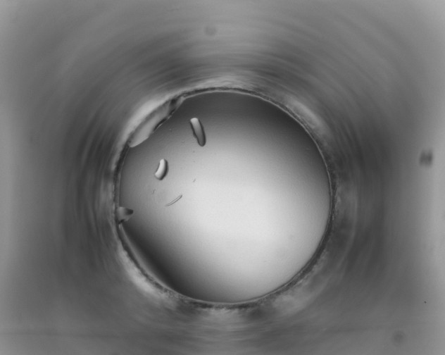 X0000092070800200709191202
