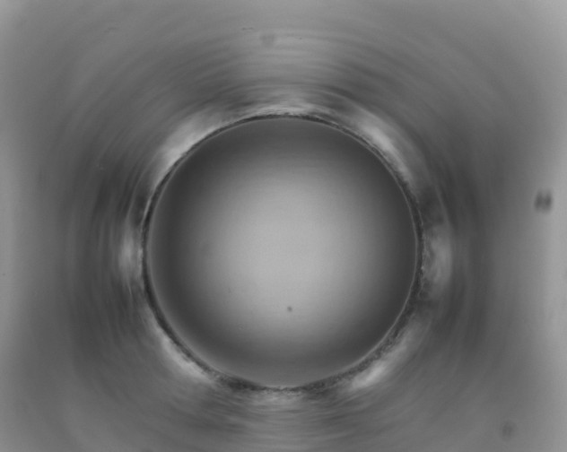 X0000092070802200709191202