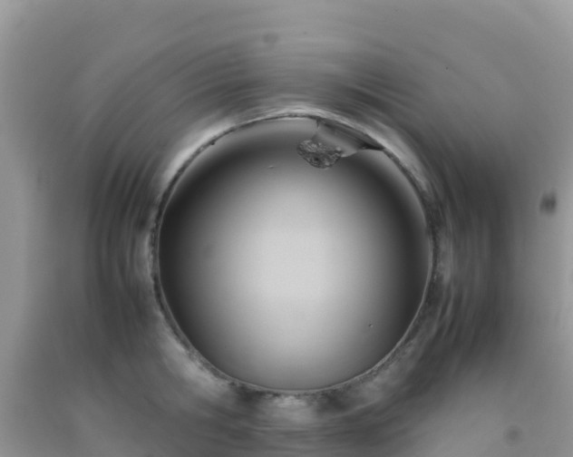 X0000092070806200709191202