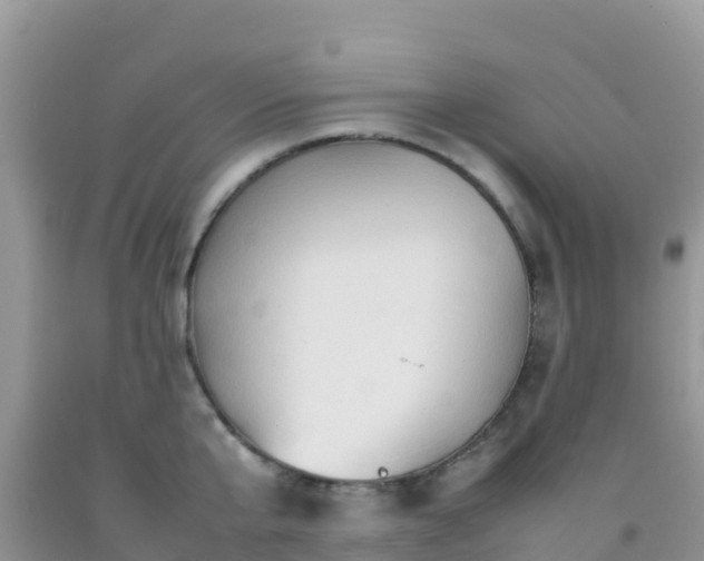 X0000092070807200709191202