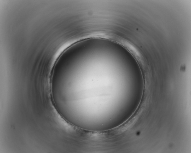 X0000092070808200709191202