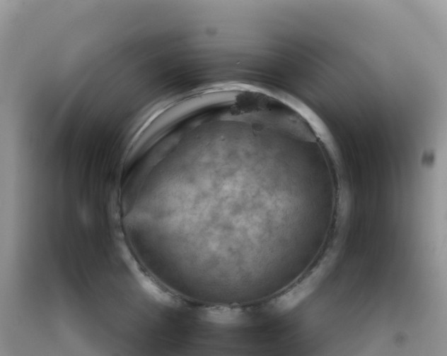 X0000092070809200709191202