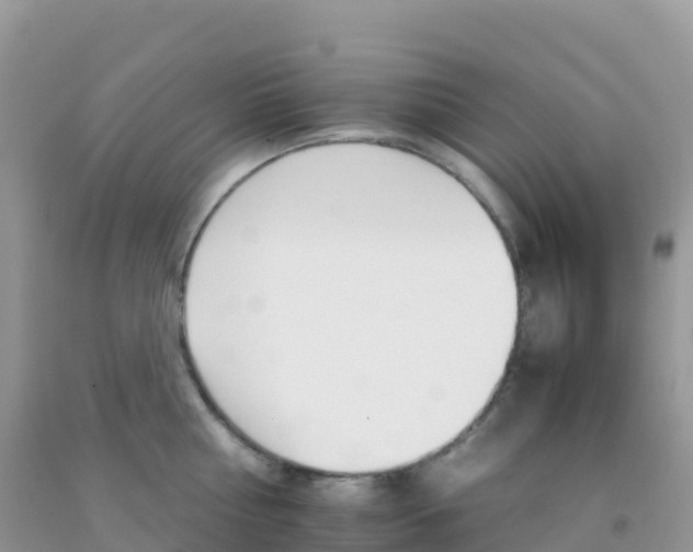 X0000092070810200709191202