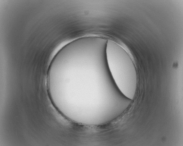 X0000092070811200709191202