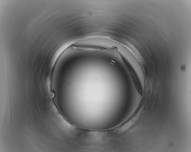 X0000092070812200709191202