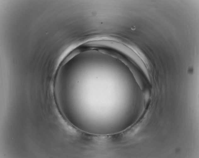 X0000092070813200709191202