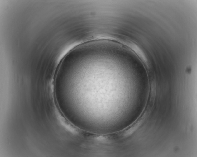 X0000092070814200709191202