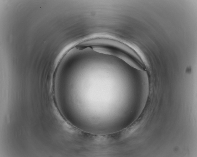 X0000092070815200709191202