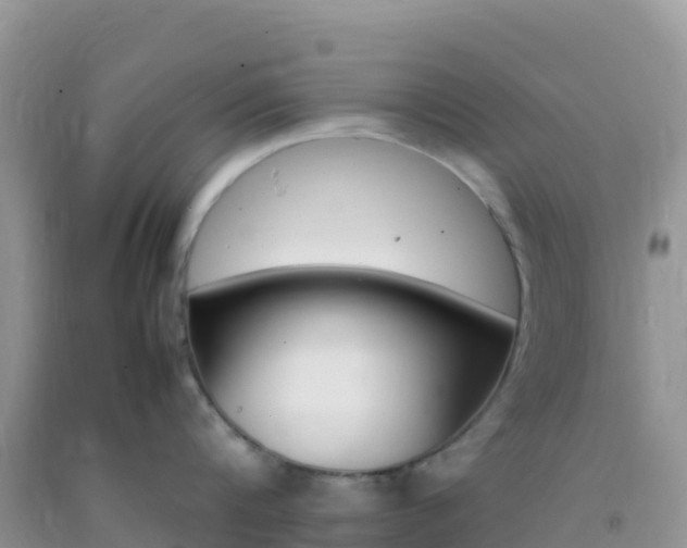 X0000092070816200709191202