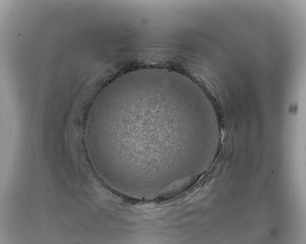 X0000092070817200709191201