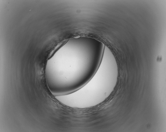 X0000092070818200709191201