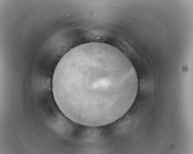 X0000092070820200709191201