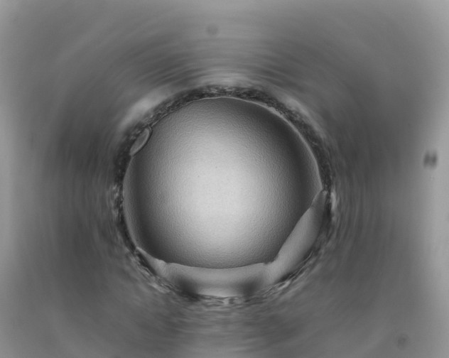 X0000092070822200709191201