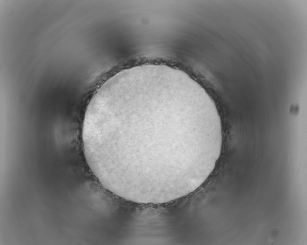 X0000092070824200709191201