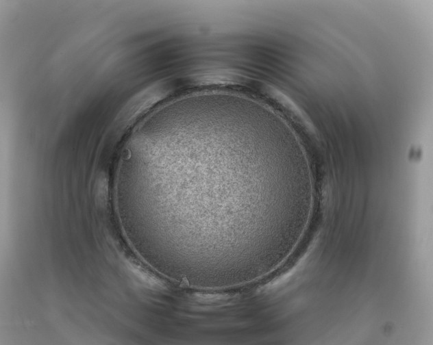 X0000092070825200709191201