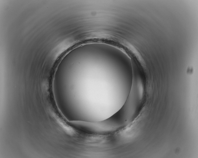 X0000092070826200709191201