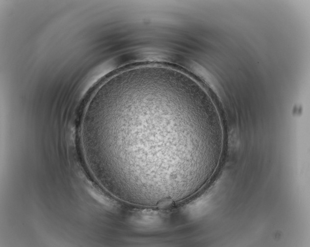 X0000092070827200709191201