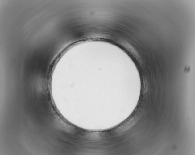 X0000092070828200709191201