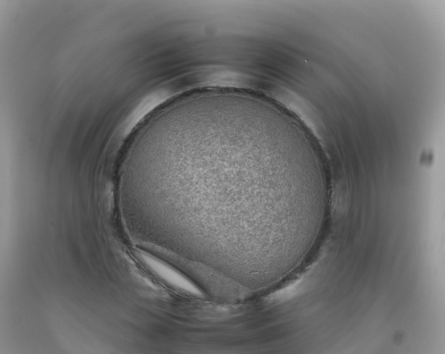 X0000092070829200709191201