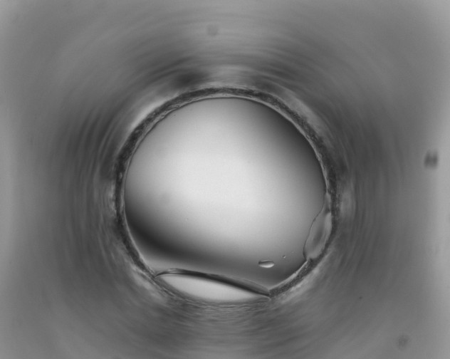 X0000092070830200709191201