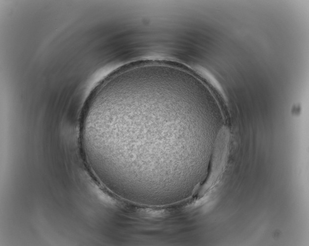 X0000092070831200709191201