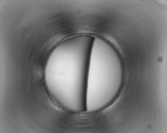 X0000092070833200709191202