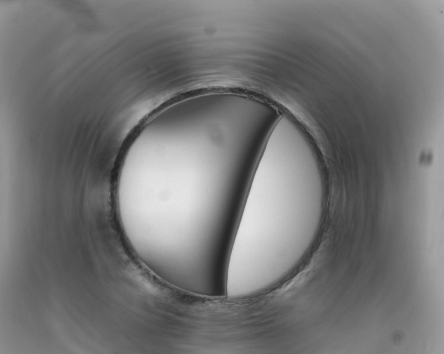 X0000092070834200709191202