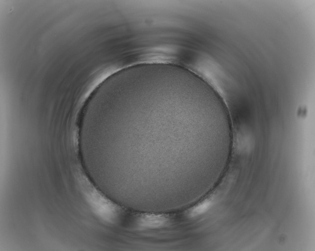 X0000092070835200709191202
