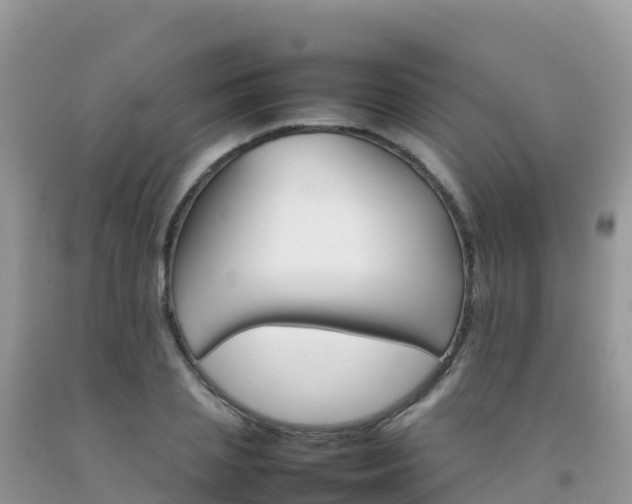X0000092070837200709191202