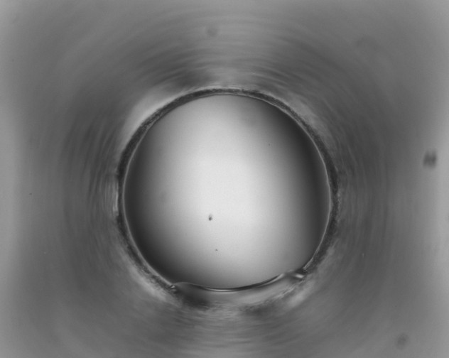 X0000092070838200709191202