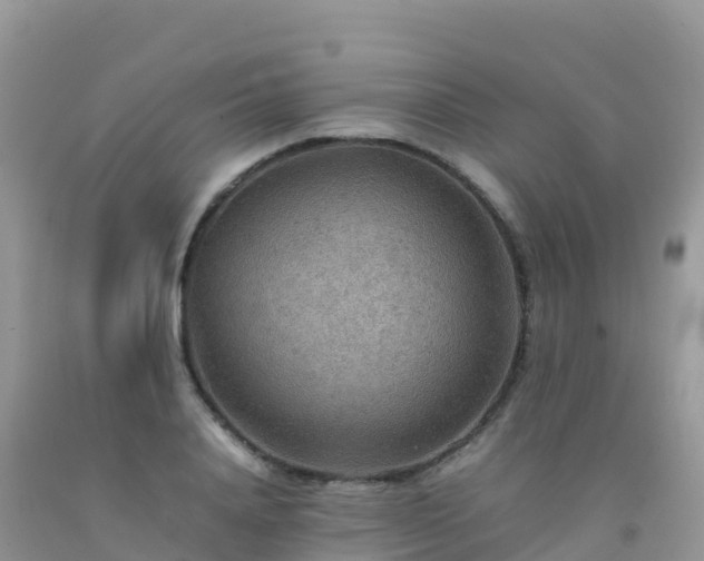 X0000092070840200709191202