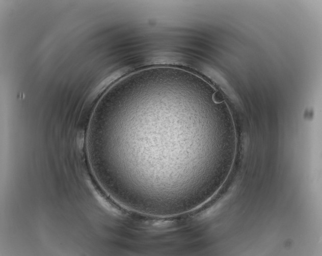 X0000092070841200709191202