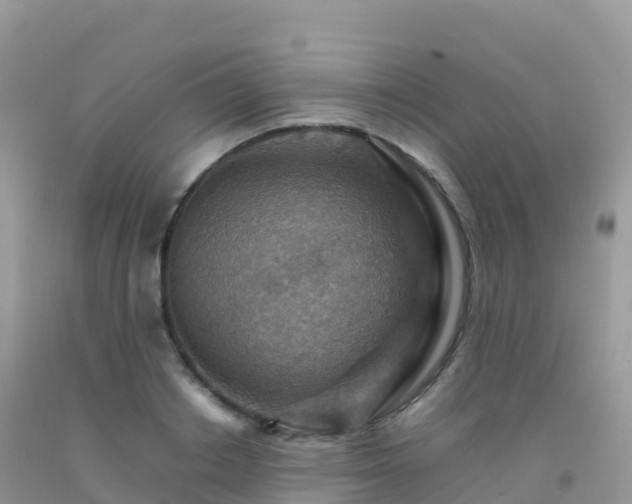 X0000092070842200709191202