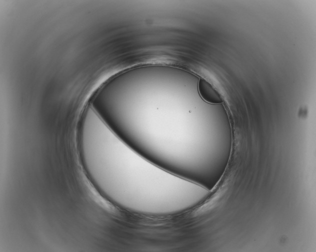 X0000092070843200709191202