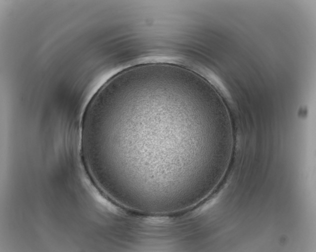 X0000092070844200709191202