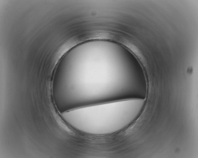 X0000092070850200709191202