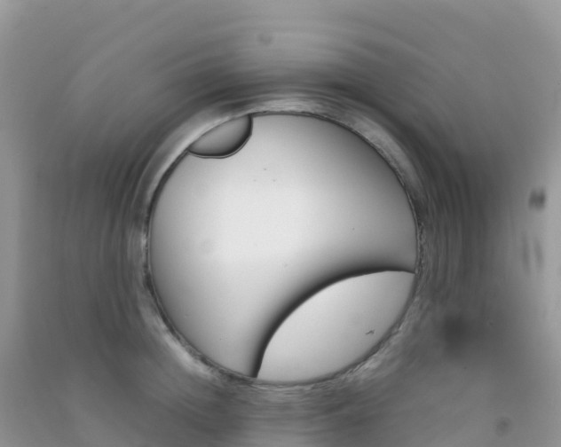 X0000092070852200709191202