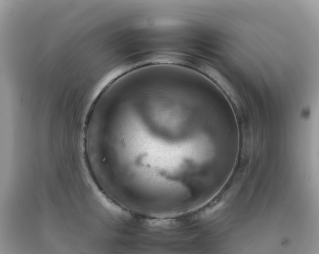X0000092070853200709191202